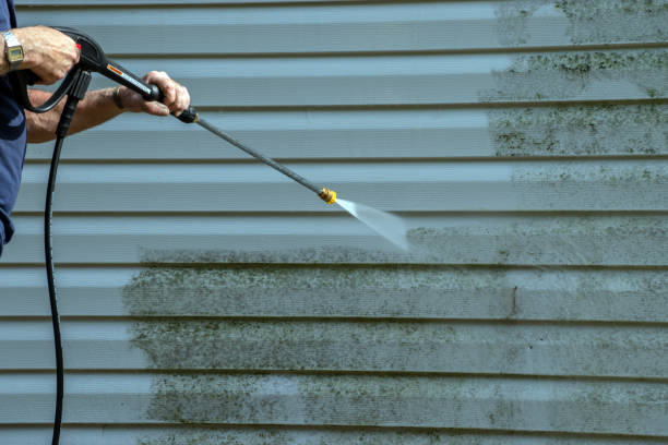 Professional Pressure Washing Services in Winnebago, MN